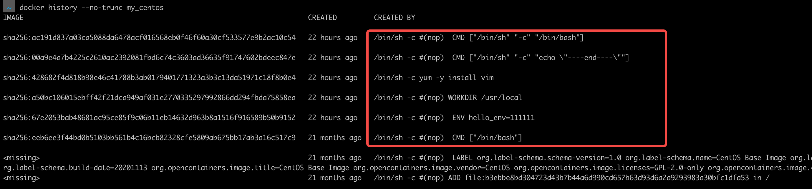 初识Docker：（7）查询Docker镜像的DockerFile