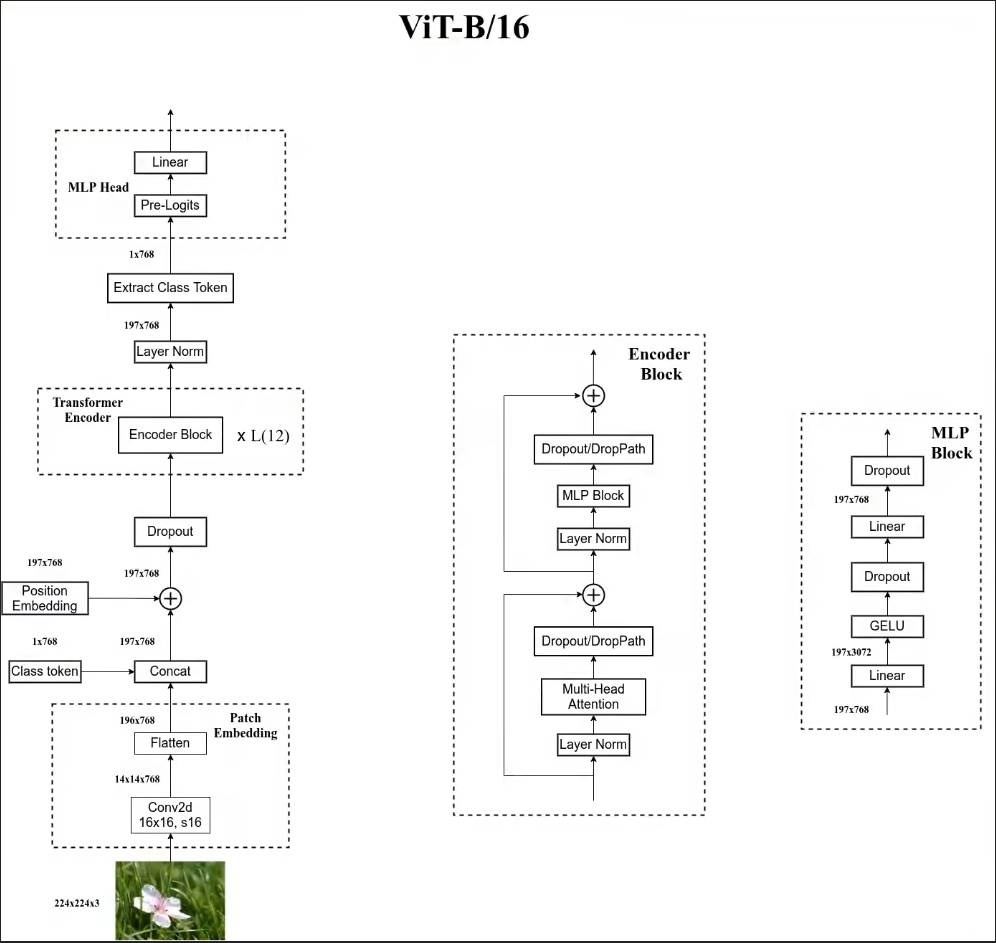 AN IMAGE IS WORTH 16X16 WORDS: TRANSFORMERS FOR IMAGE RECOGNITION AT SCALE