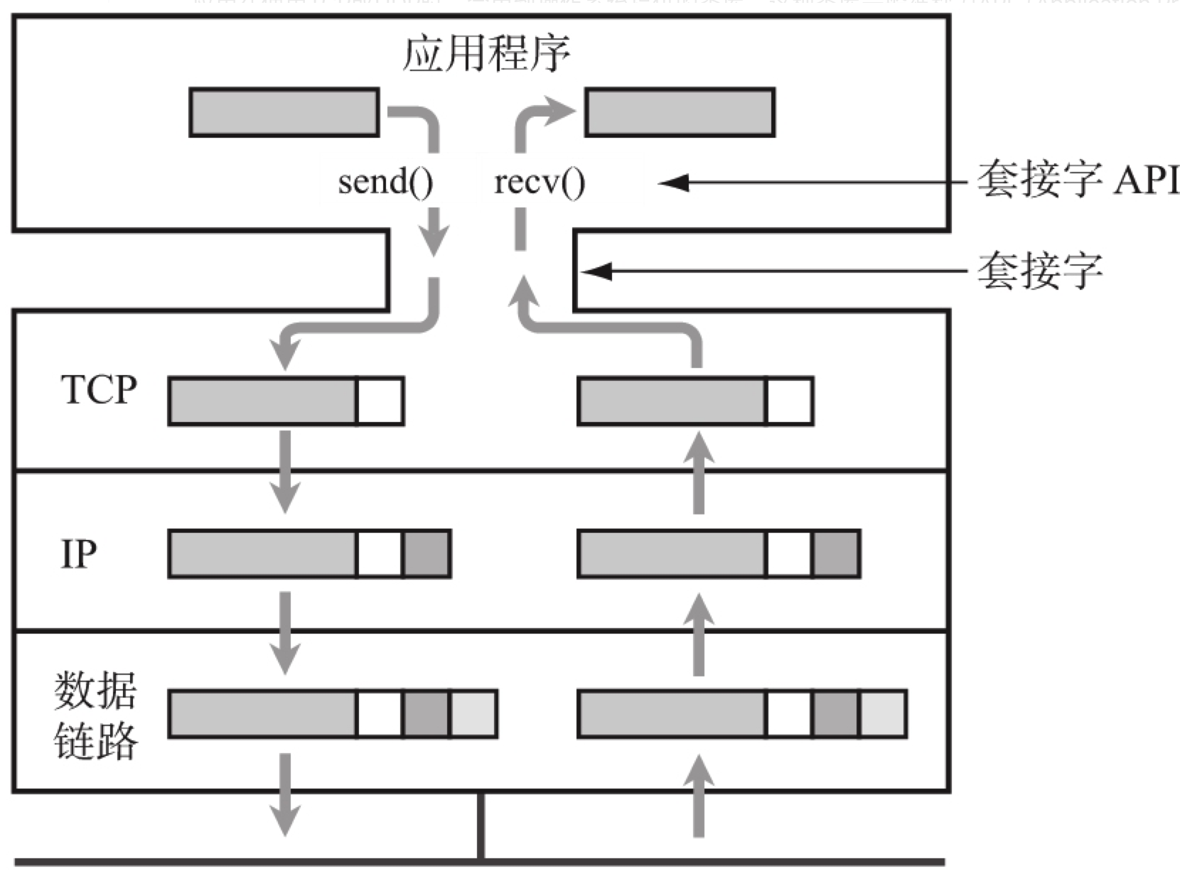 套接字