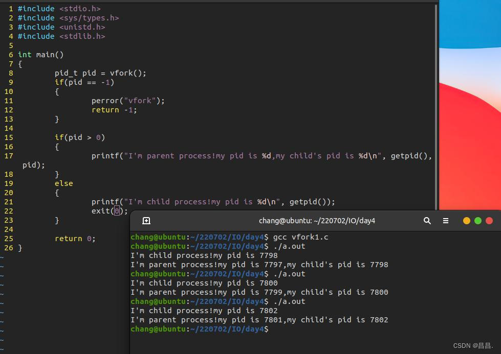 fork 和 vfork函数详解_fork和vfork-CSDN博客
