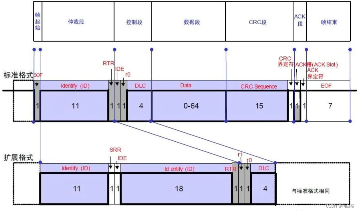 图片来自文章【1】