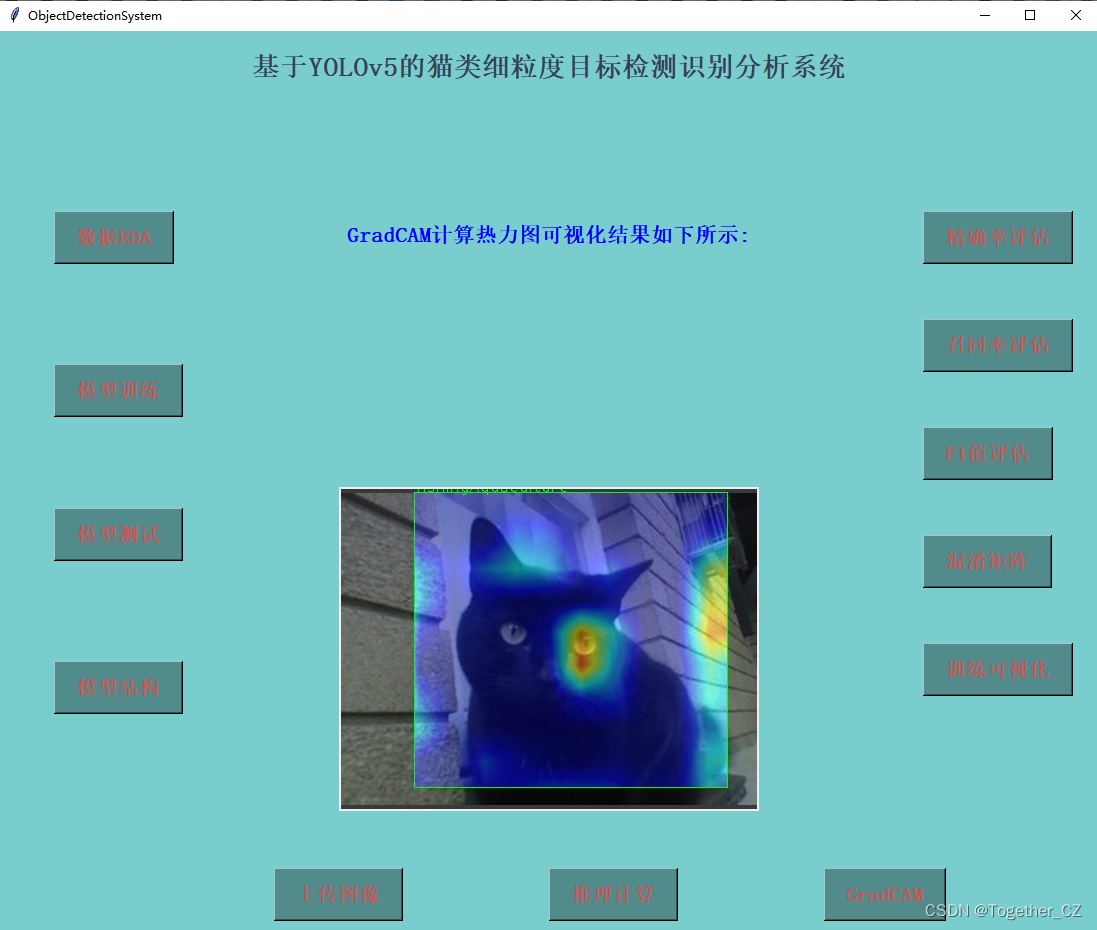 基于yolov5全系列模型【n/s/m/l/x】开发构建不同参数量级的猫类细粒度目标检测识别系统