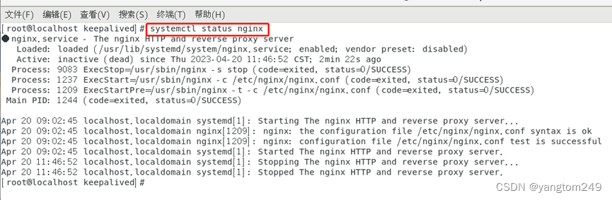 nginx stop