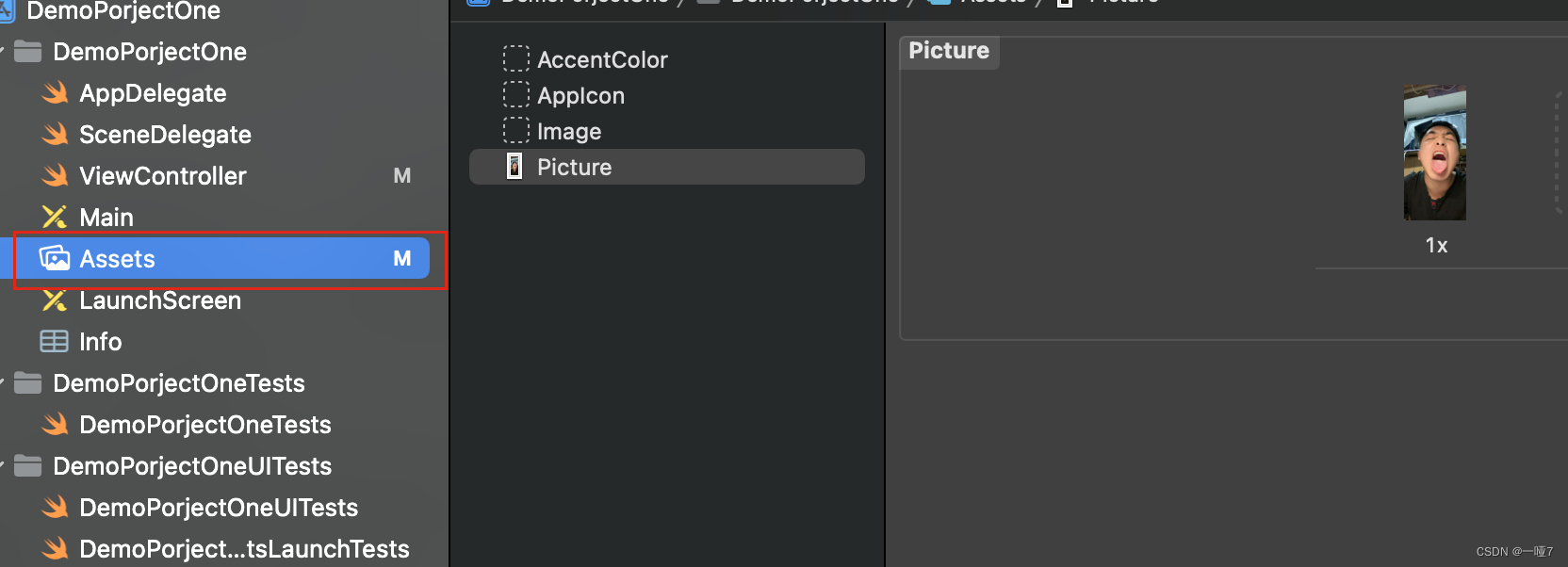 图片资源文件夹