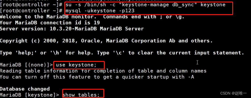 mysql show tables in database command line