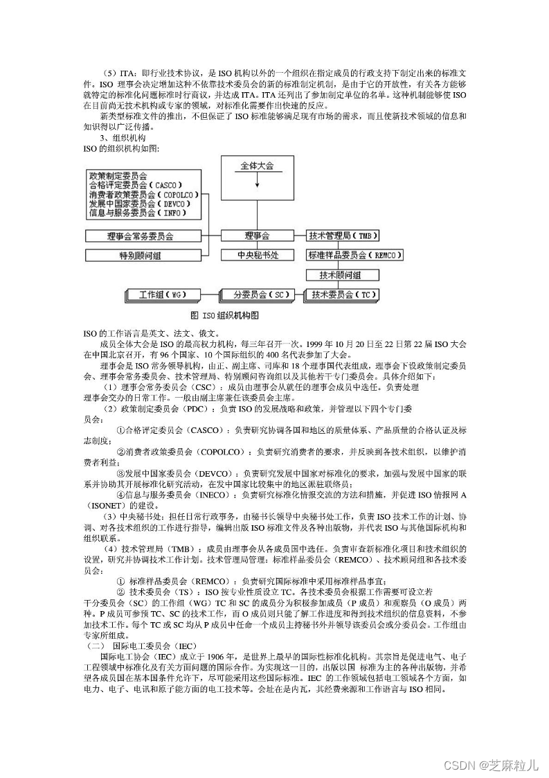 芝麻粒儿-空名先生