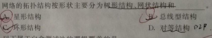 网络拓扑