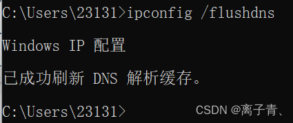 立即刷新DNS缓存