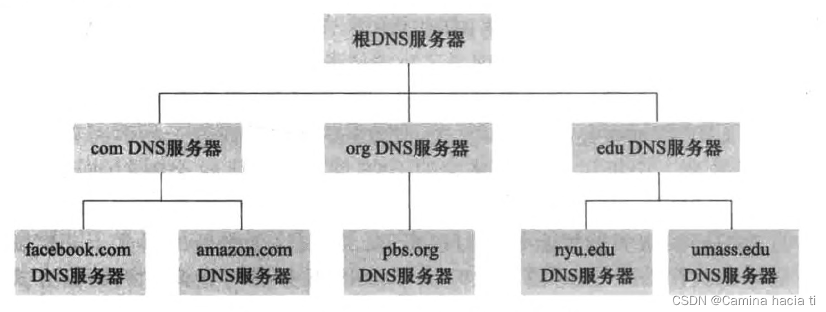 DNS分布式结构