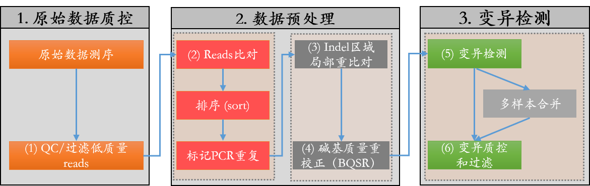 变异识别的基本流程