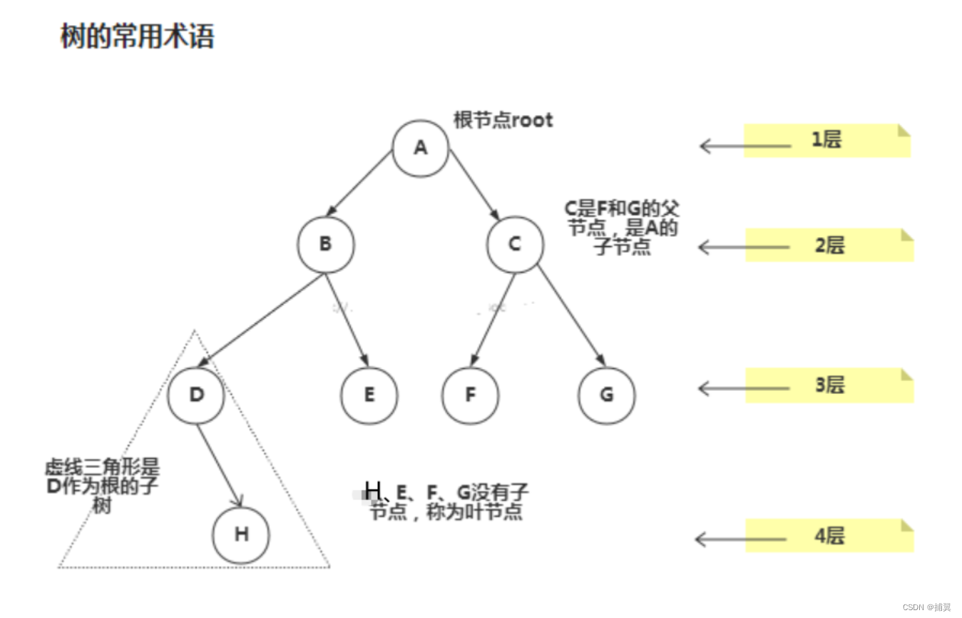 树结构基础_tree.js-CSDN博客