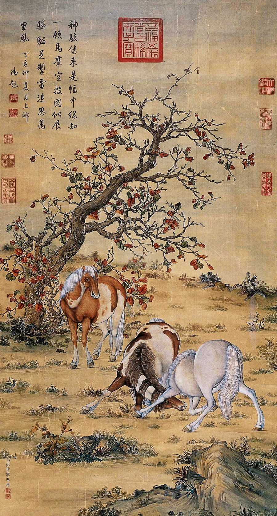 名画335 郎世宁《画选二十五幅》_书剑飘〇的博客-csdn博客