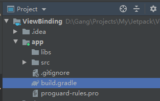 build.gradle