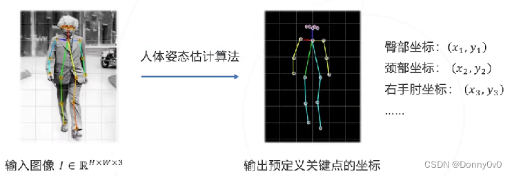 2D人体姿态估计