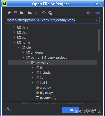 Debian12中为python3配置虚拟环境及在Pycharm中使用虚拟环境