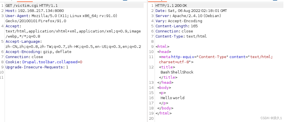 bash(CVE-2014-6271) shellshock-破壳漏洞复现_bash破壳漏洞(cve-2014-6271)-CSDN博客