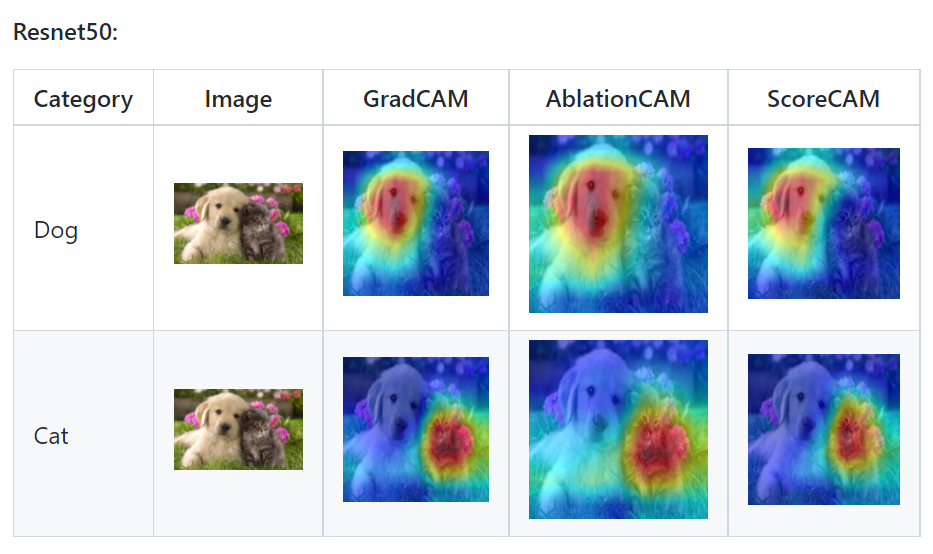 Pytorch 使用Grad-CAM可视化网络模型的特征图_mmdet使用pytorcg-grad-cam可视化-CSDN博客