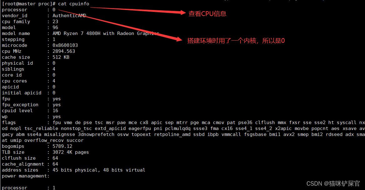 linux简介及操作方式（命令）linux基础文件管理_把文件放到opt目录CSDN博客