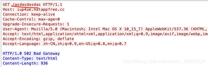 大白话告诉你内网穿透原理和验证