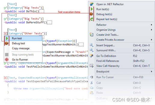 CodeRush Ultimate Crack终极版