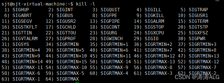 Linux bash shell--监测程序：ps、top、kill、killall