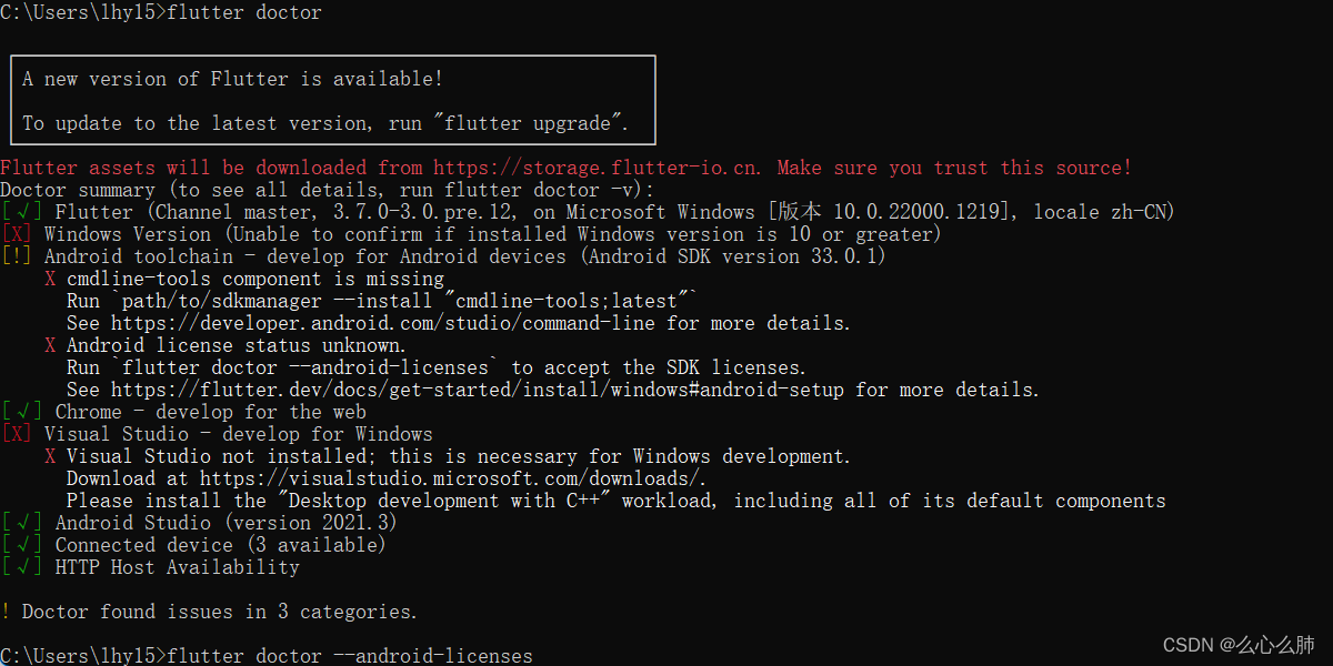 运行flutter doctor命令检测环境是否配置成功报错及解决方案