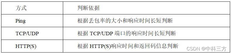 表2 DNS健康监测方式