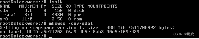 mkswap /dev/sda1