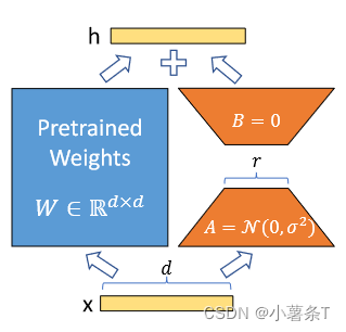 LoRA结构图