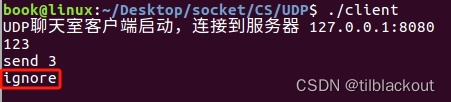 Linux socket编程(10):UDP详解、聊天室实现及进阶知识