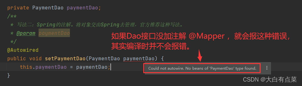 paymentDao 对象提示错误