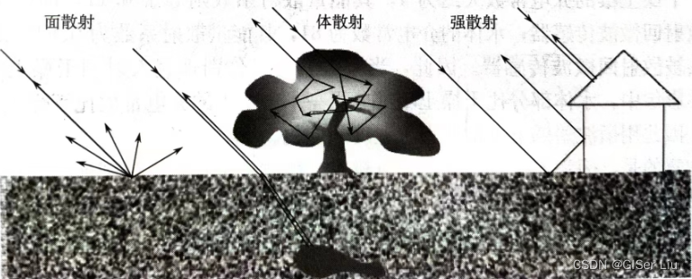 微波散射类型