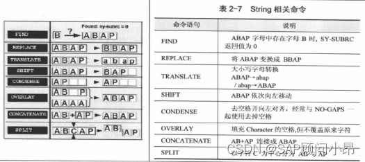 SAP入门技术分享二：数据类型