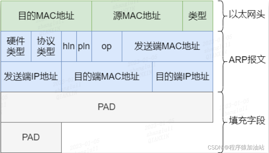 ARP 报文格式