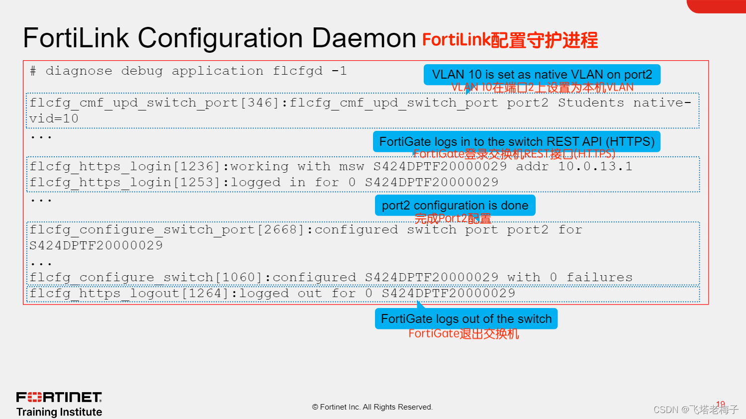 NSE6_FSR-7.3 Online Tests