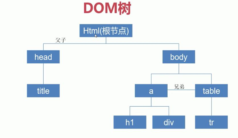 dom树