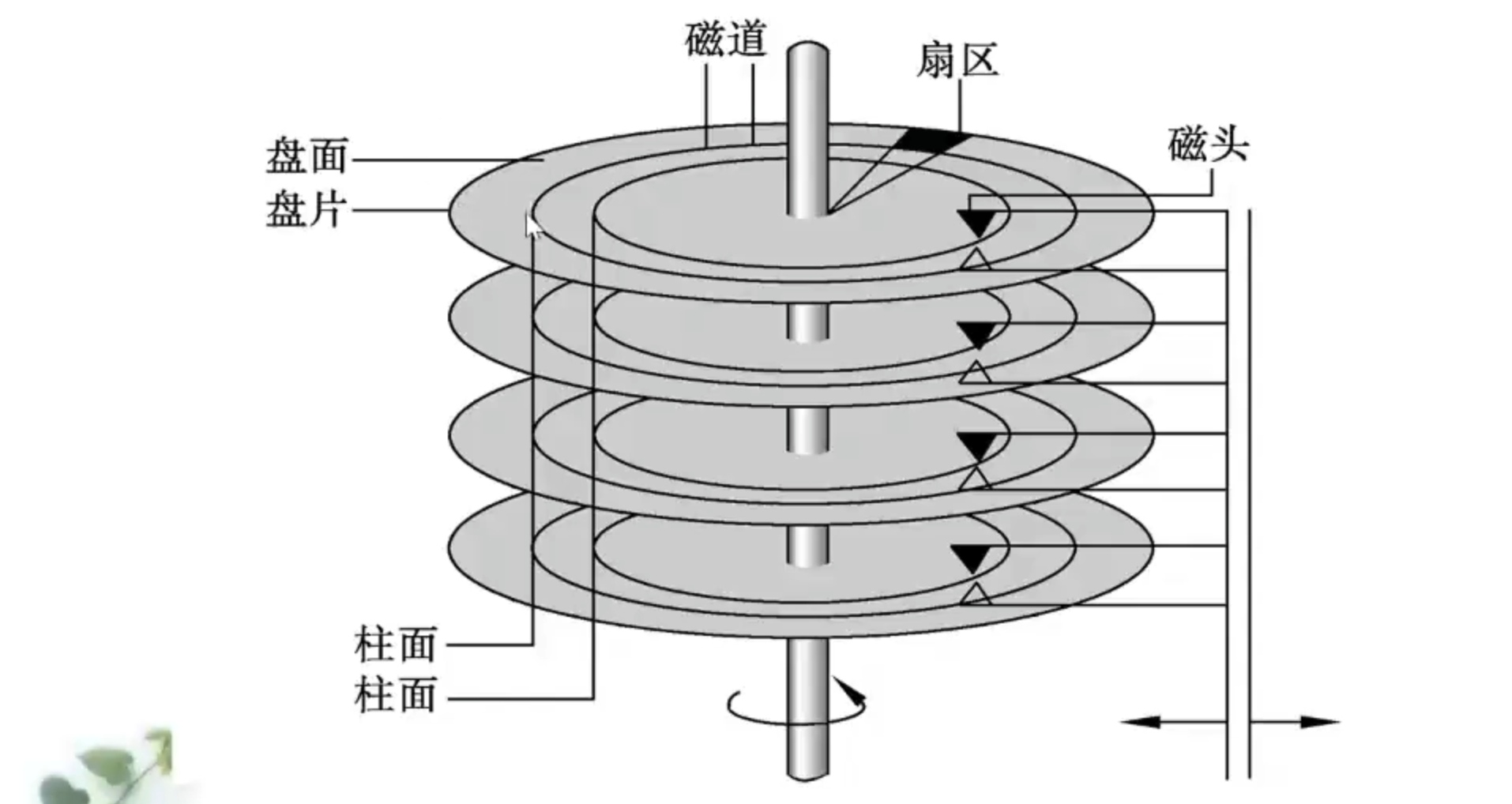 图片9