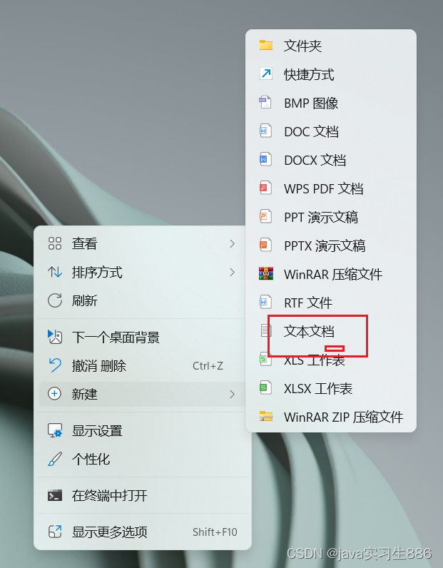 在这里插入图片描述
