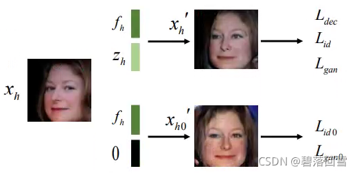 feature disentanglement