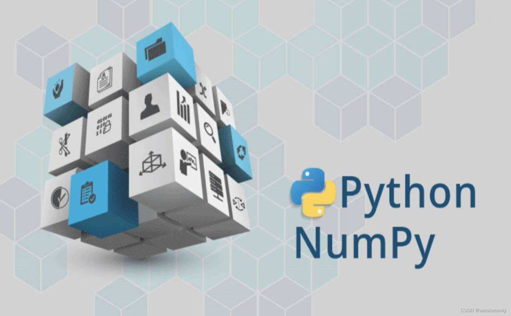 【Python NumPy】零基础也能轻松掌握的学习路线与参考资料