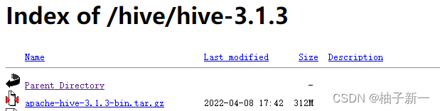 Hive 3.1.3