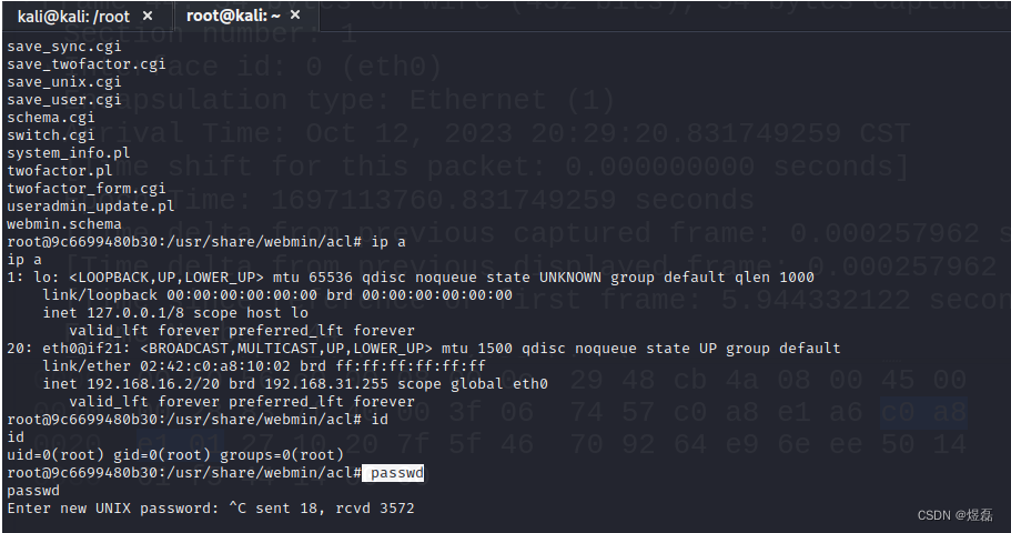 Webmin 远程命令执行漏洞_CVE-2019-15107