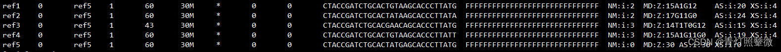 【bioinfo】bwa mem 比对分值参数测试