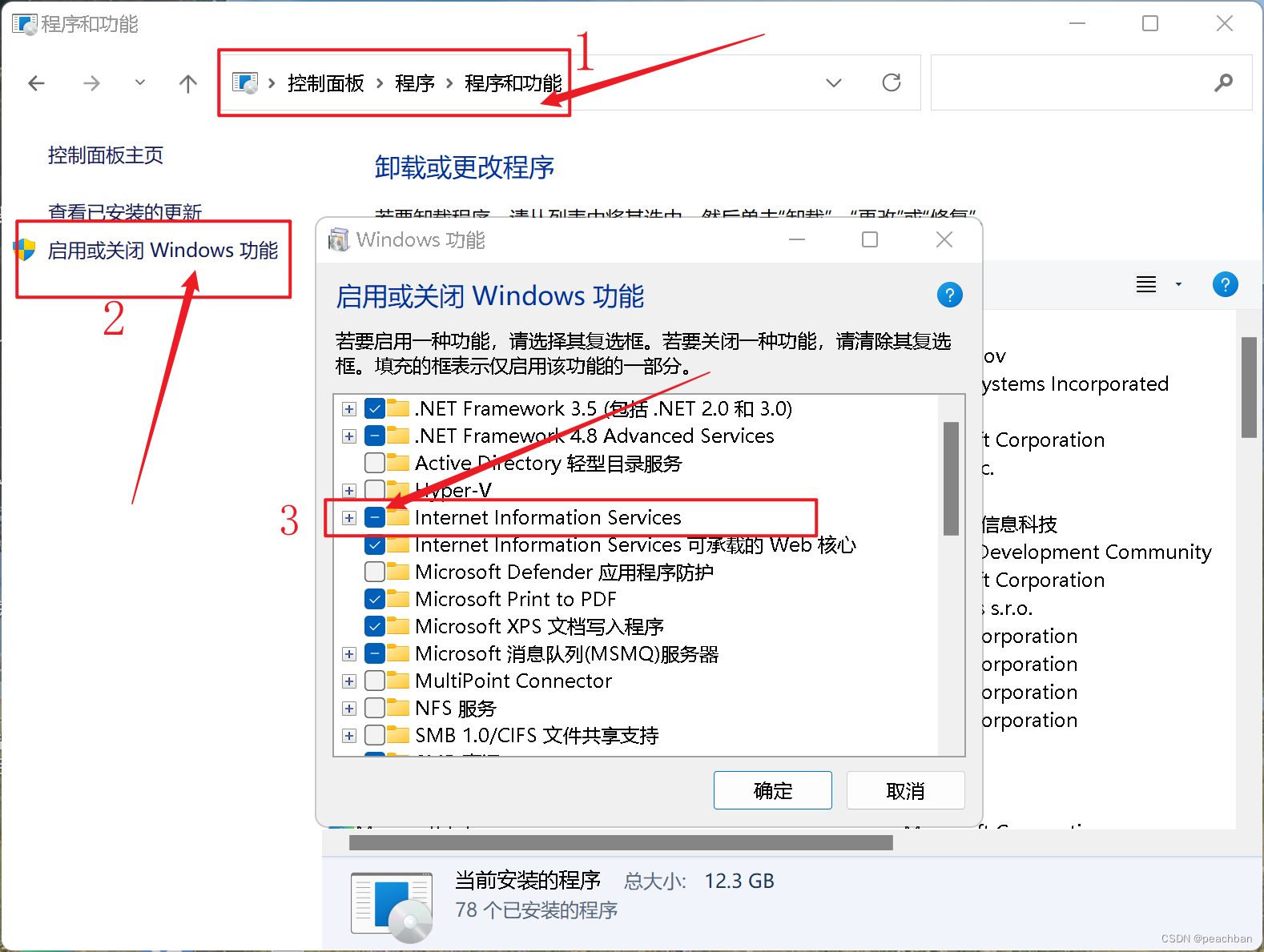 IIS的安装与配置