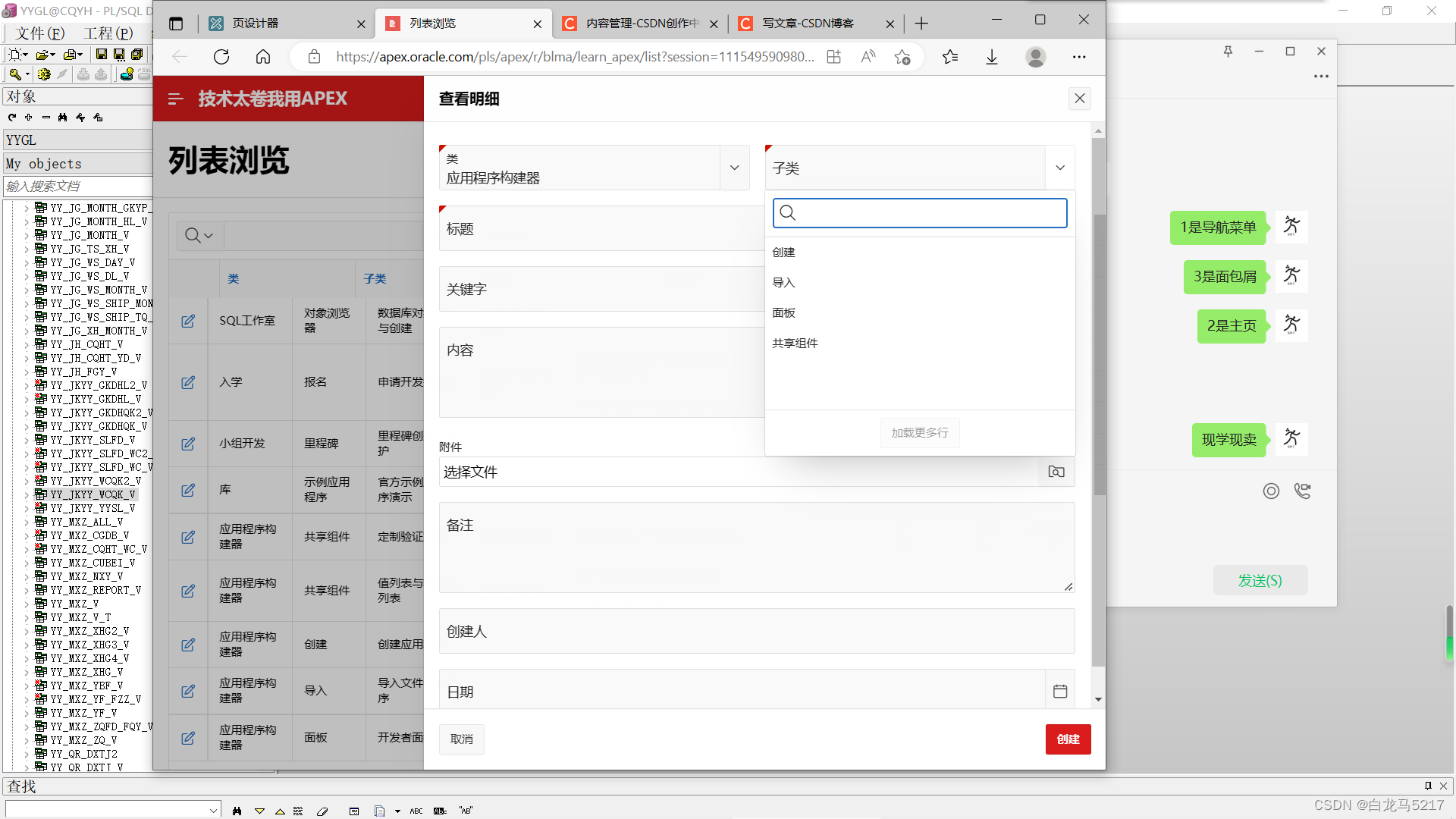 02 技术太卷我学Apex-级联值列表