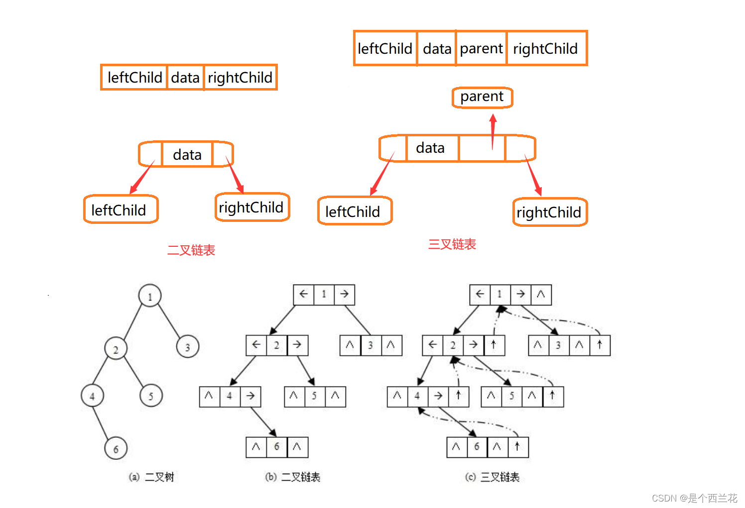 树和二叉树 --- 数据结构