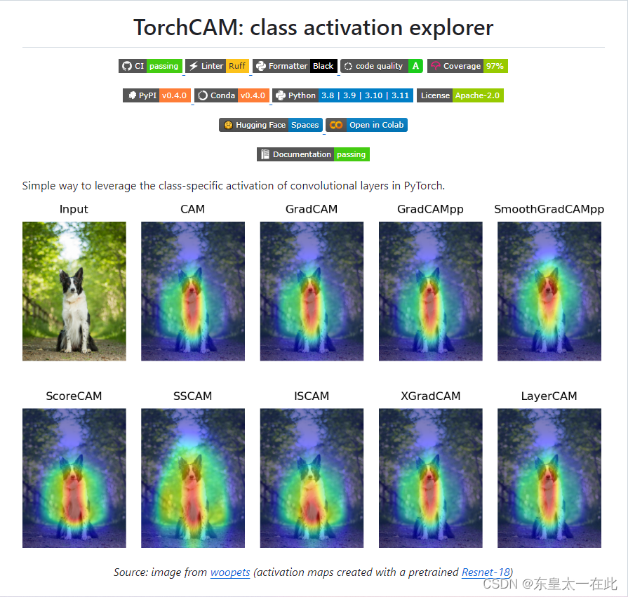 CAM-Classification activation map 类激活图玩耍指南