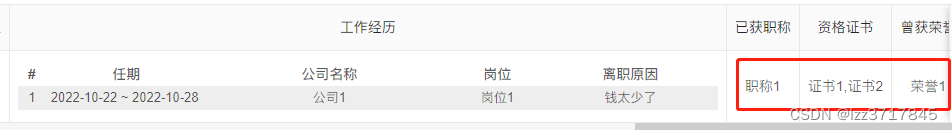 表格显示