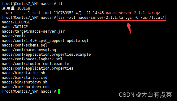解压 nacos-server-2.1.1 安装包到指定目录 /usr/local/