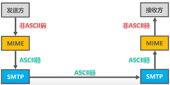 计算机网络 第六章 应用层